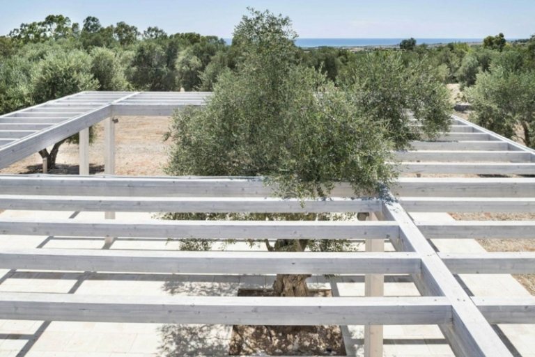 väggdesign sten pergola idé design olivträd