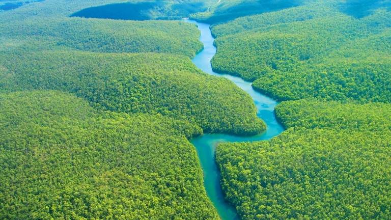 Amazonfloden och regnskogen har sina egna ekosystem och unika växter och djur