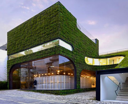 modernt-grönt-arkitektur-hållbart-hus