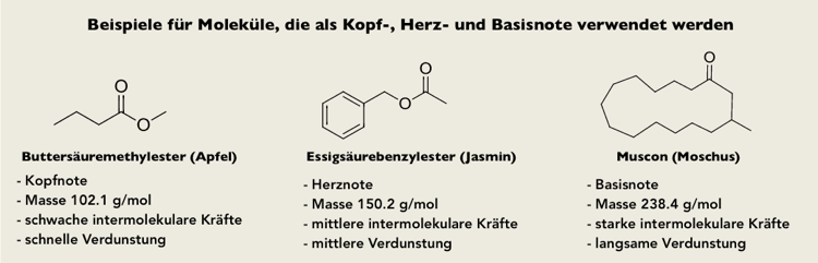 Chemistry Fragrances Esters Parfymmolekyler Exempel