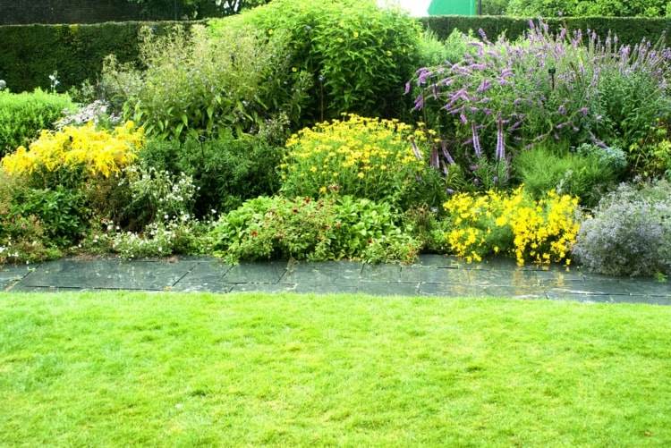 Rätt underhåll av trädgården efter en översvämning