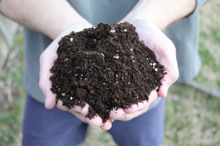 Blanda jord med kompost och sand för att förbättra dess permeabilitet i sängar