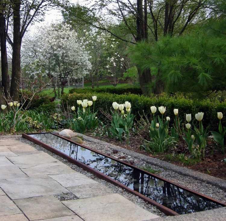 vatten-trädgård-bäck-små-vita-tulpaner-sten-plattor-grus