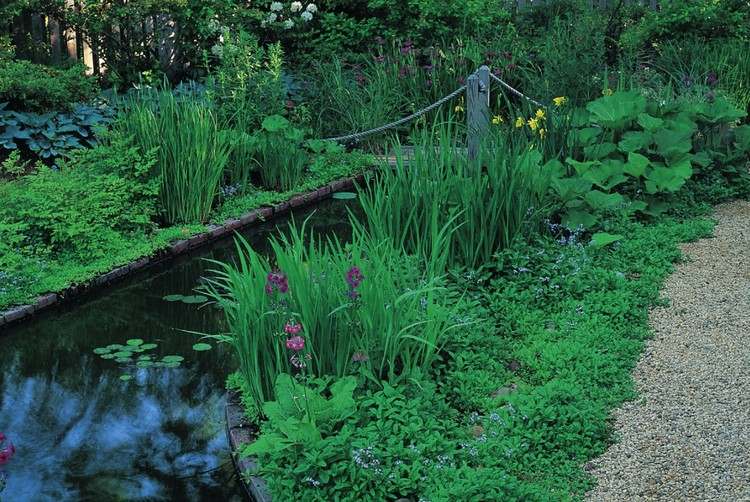 vatten-trädgård-ström-växter-lilja pad-damm-bro