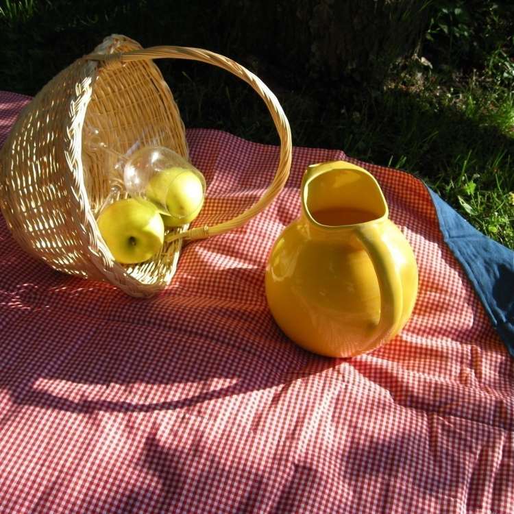 vattentät-picknick-filt-rakad-kanna-gul-korg-äppelglasögon
