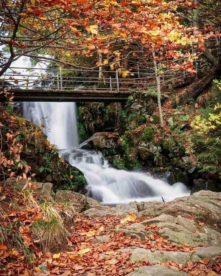Todtnauer vattenfall Tyskland Semester i naturen gör tips