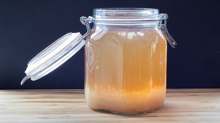 helglas med kefir vatten och fermenterade bakterier för matsmältning och allmän hälsa