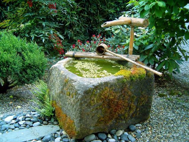 Trädgård bambu röret stenar golv idéer