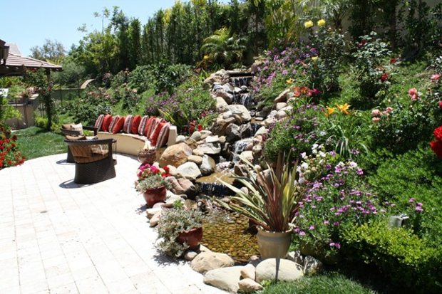 Skapa en vattenträdgård Dela växter i zoner Vattenfall