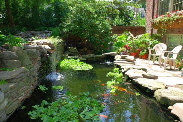 Trädgårdstenar fiskväxter vård tips idéer vattenfall