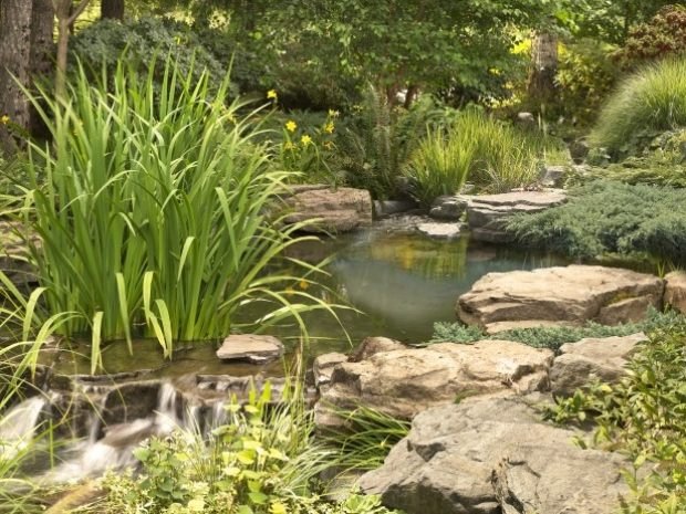 trädgårdsdammens vattenfunktioner - skapa konstgjorda kaskader med vattenfallseffekt