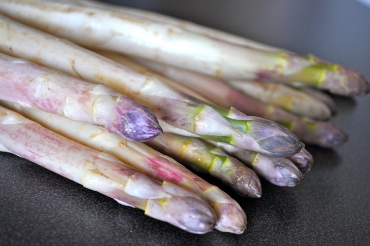Växande sparris -vit-violett-tips-utsökt-matlagning-gröna-växter-skörd