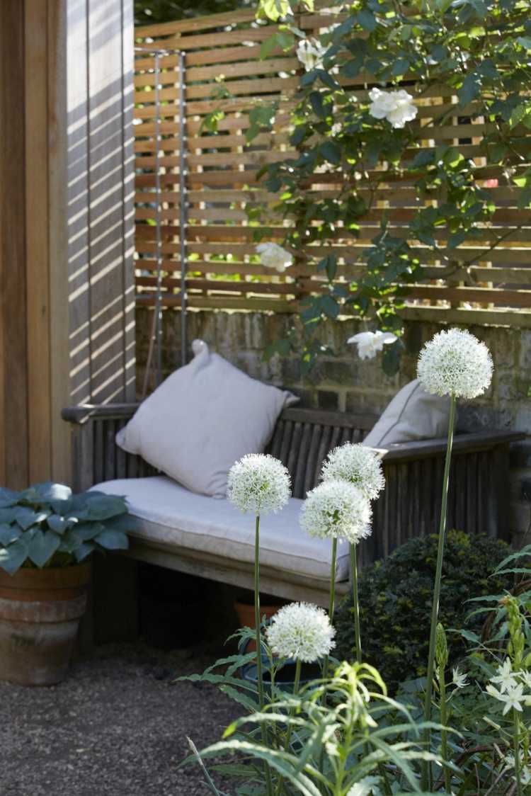 sheila jack trädgård design london vit trädgård klättring ros prydnadslök