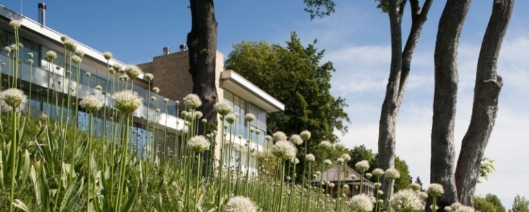 vitt hus-sjö-modern-arkitektur-trädgård-landskap-vy