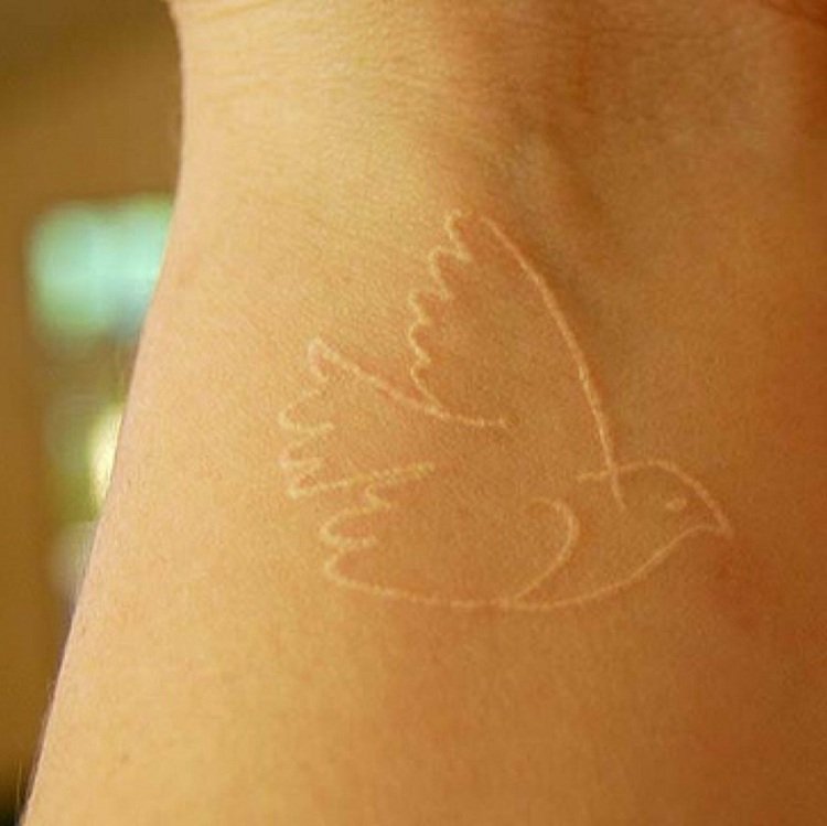vit tatuering fågel-idé-handled-design-damer-fredsduva
