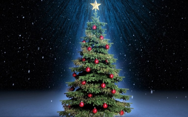 välj julgran tips idéer dekoration träd dekorationer