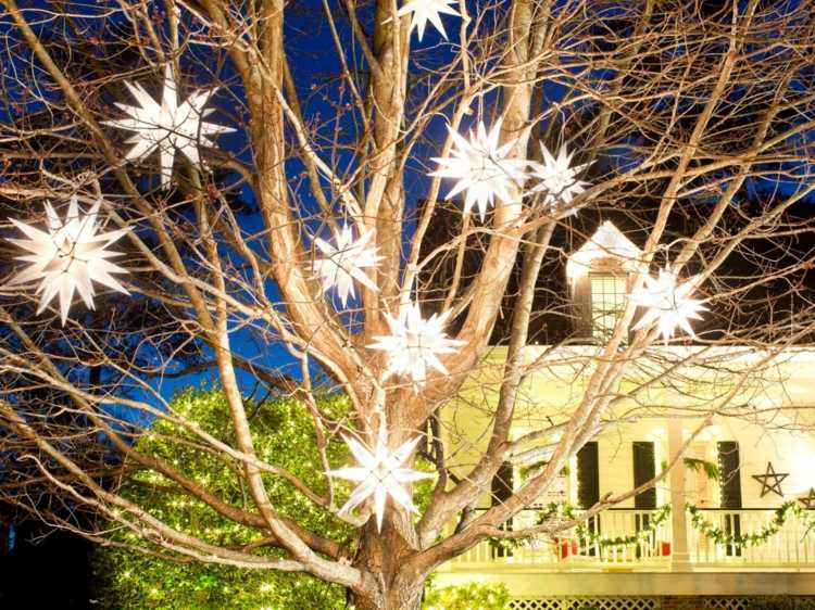 juldekorationslampor stjärnor träddekorationer idé trädgård jul