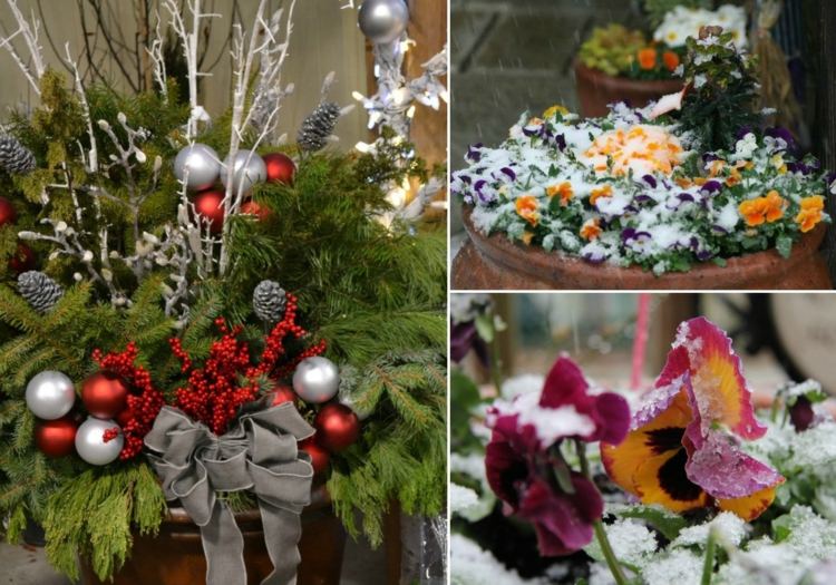 jul-dekoration-balkong-vinter-blommor-pensé-christrose-färgglada