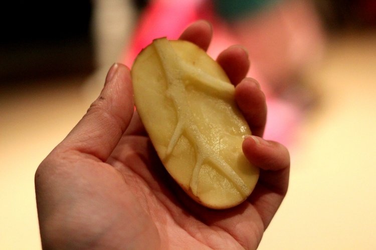 Julkort-gör-det-själv-pyssel-instruktioner-potatis-stämpel-diy-klipp ut