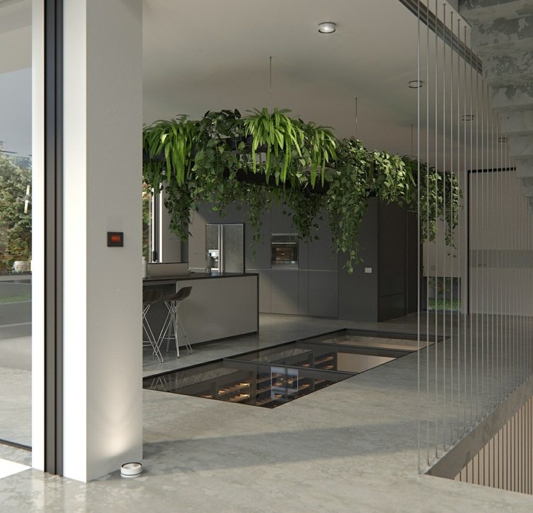 vinförvaring-källare-idé-transparent-golv-tak-växter-dekoration