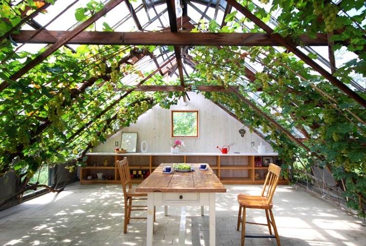 Lutande tak med vinrank pergola bygga skugga i utomhusområdet lantlig stil