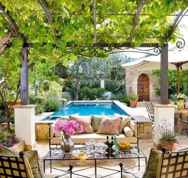lyxigt utomhusdäck med vinrankad pergola och pool
