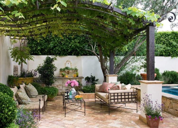 elegant uteplats med pool och vinrankor gör pergola vacker trädgårdsdesign