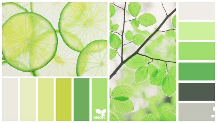 Vilken färg för köket -färgspalett-grön-grädde-vit