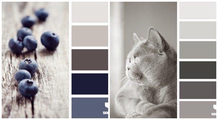 vilken-färg-kök-färg-palett-neutral-grå-toner-blå