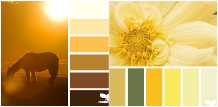 vilken-färg-kök-färg-palett-varm-gul-brun-ton
