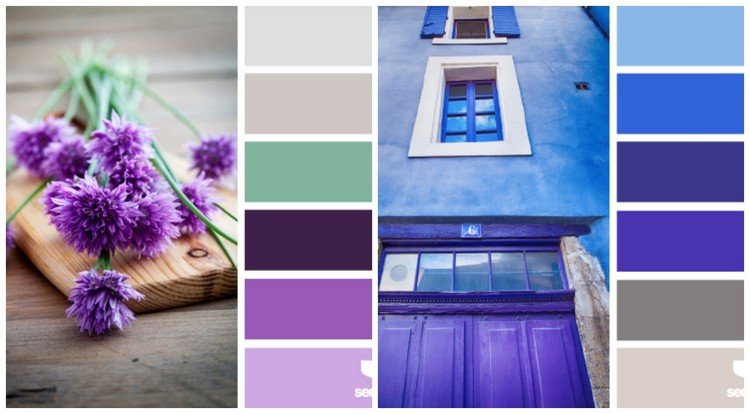 vilken-färg-kök-färg-palett-violett-kobolt-blå-kombinera