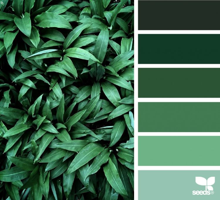 vilken färg matchar gröna färgpalettnyanser