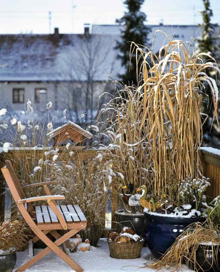 Prydnadsgräs i krukor på balkongen på vintern