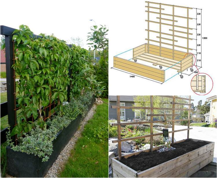växter integritet skärm terrass hink mobil spaljé bygg din egen trädgårdsterrass