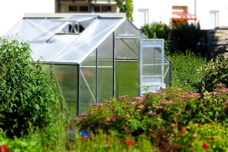 10 mm flerfärgade plåtar perfekta för ouppvärmda trädgårdsskjul för grönsaksodling