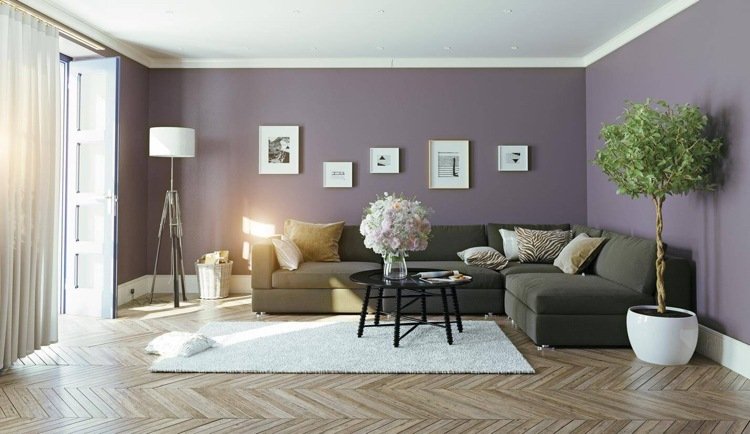 färgade väggar till vardagsrummet lila dämpad grå soffa