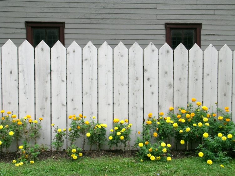 Staket för trädgården klassiskt-trä-lameller-vita-blommor-gult