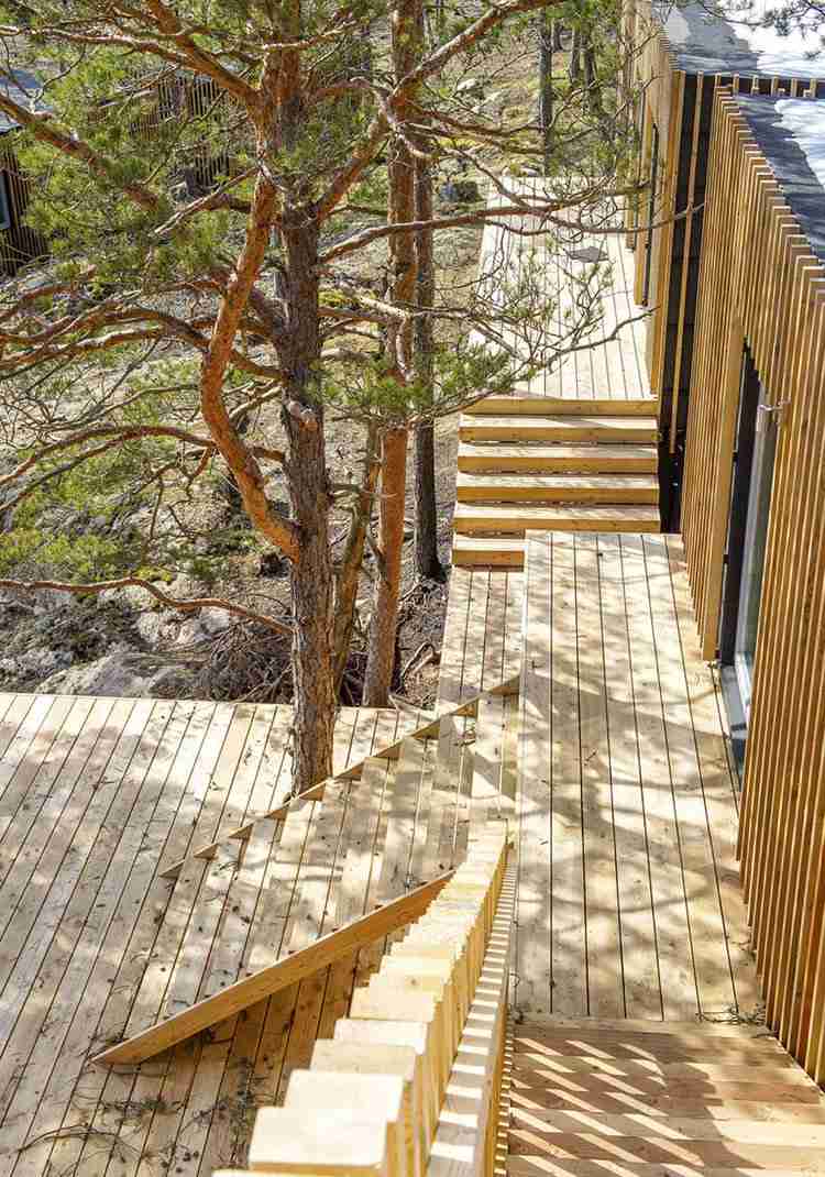 vilken-trä-terrass-tips-tall-trädgård-trappor-skugga-träd-hus