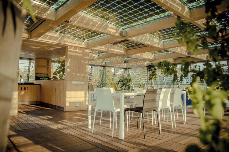 Vilket trä för terrass tips-terrass tak-skugga-utomhus-kök