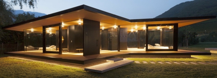 modern arkitektur för trädgårdens glasväggar minimalistisk