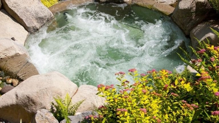 Hot tub trädgård idéer natur design blommor