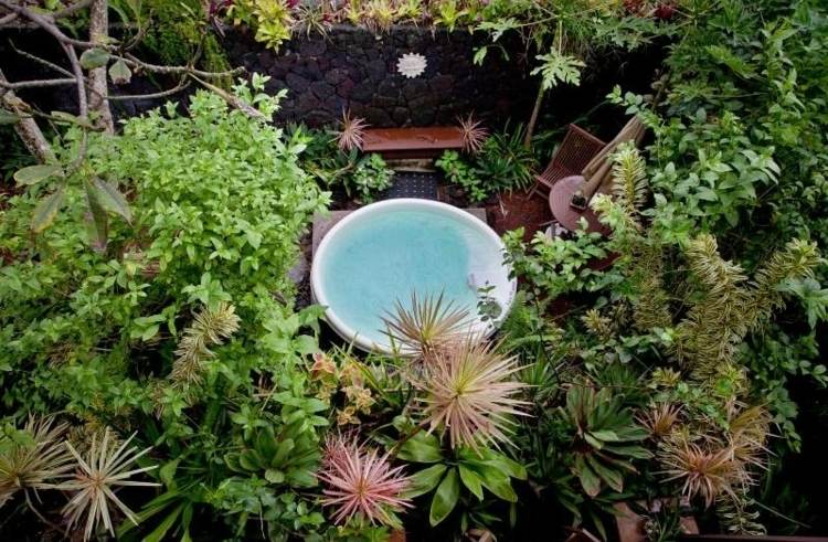 Whirlpool-trädgård-växter-integritetsskydd-solskydd