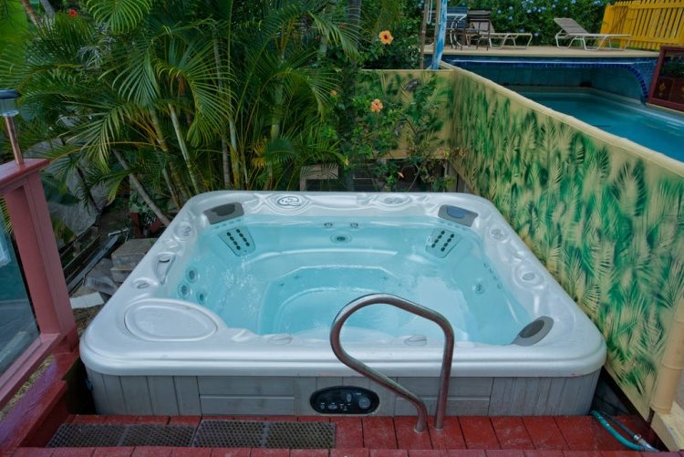 Whirlpool-trädgård-inbyggd-i-sekretess-skärm-palm-vägg