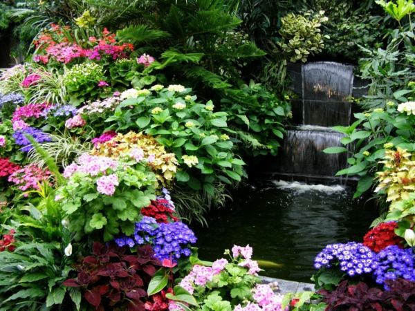 Blomma vattenfall trädgård