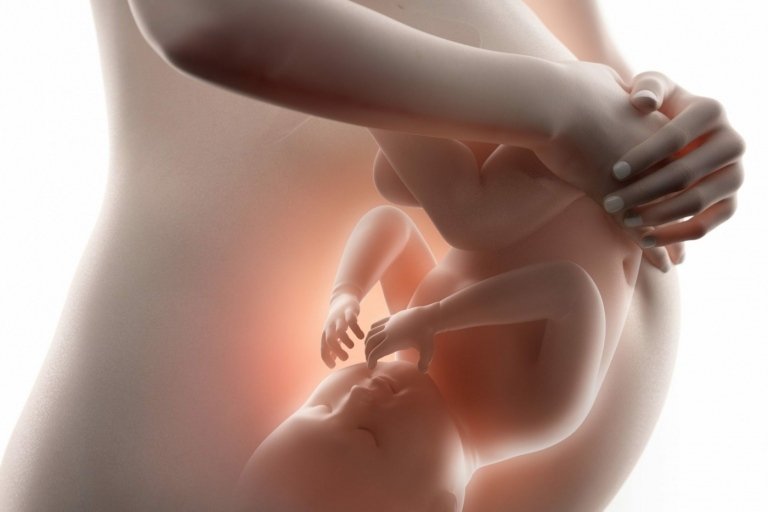29: e graviditetsveckan Baby vänder vanligtvis huvudet ner till förlossningsläget