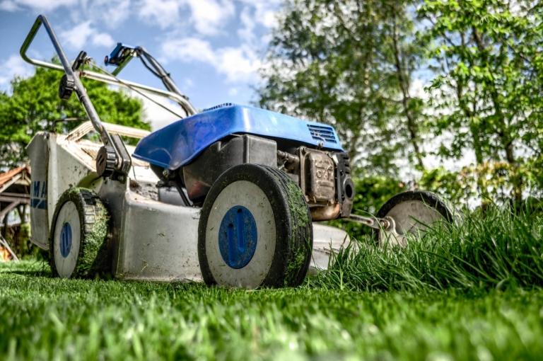 Använd en gräsklippare för att korta och underhålla befintliga gräsmattor
