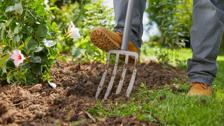 Praktiska hjälpmedel och trädgårdsredskap för beredning av en övervuxen trädgård