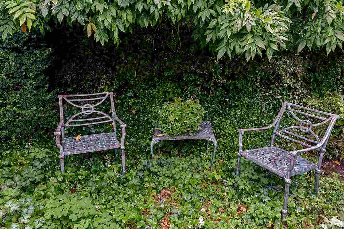 Planera och designa en sittgrupp i den tidigare övervuxna trädgården