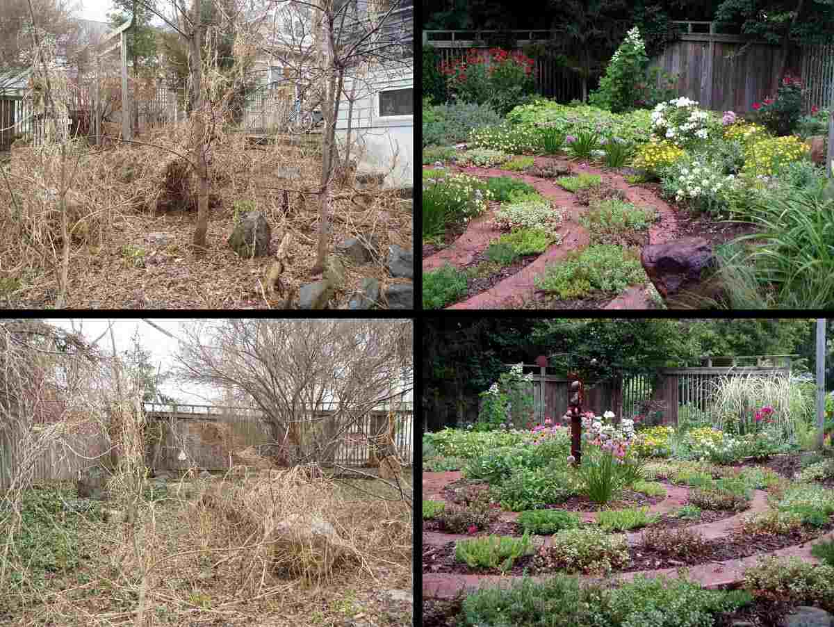 Överväxt trädgård - en idé före och efter