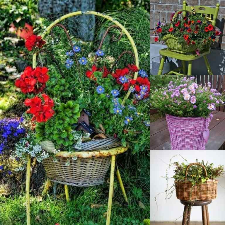 Plantera korgkorgen Enkla instruktioner Trädgårdsidéer Uteplats Trädgårdstrender Sommar